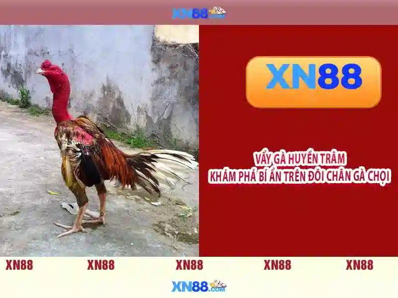 thanh toán SLOT - XN88