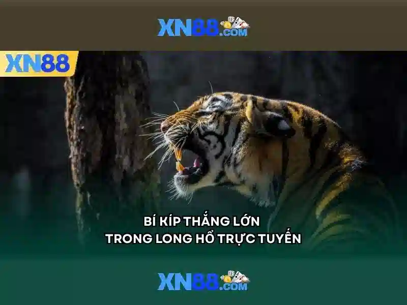 💎xem bong da truc tiep keo nha cai xoilac💎