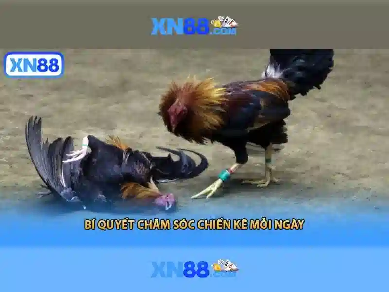 💎nhà cái uy tin 226💎