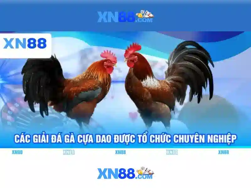  chơi game slot - XN88