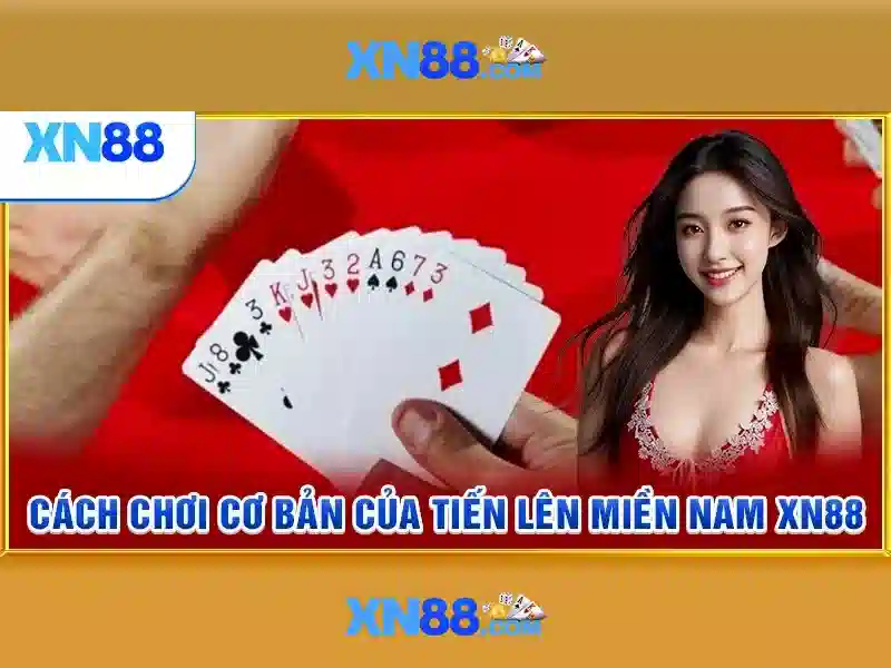 💎hướng dẫn cài đặt nhà phát triển iphone💎