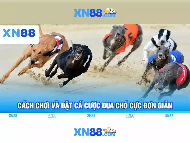 💎best slots real money💎