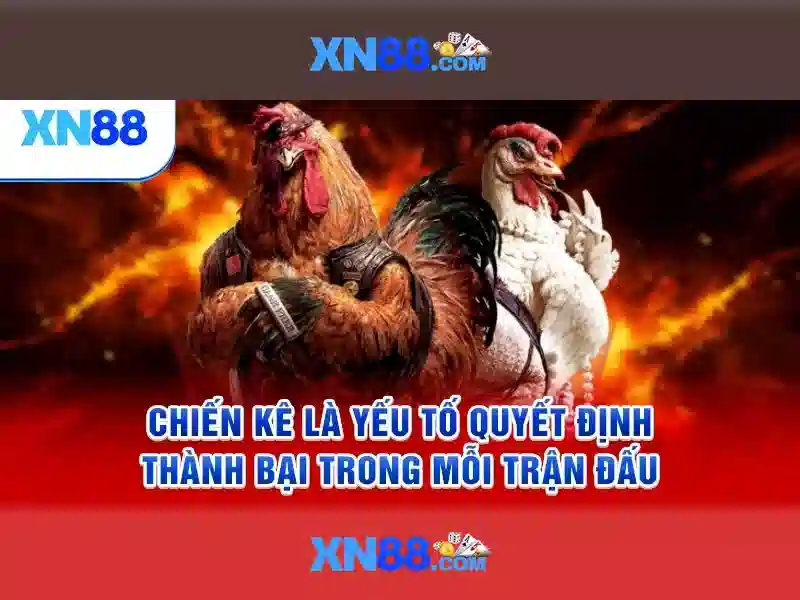 💎8xbet nhà cái hàng đầu💎