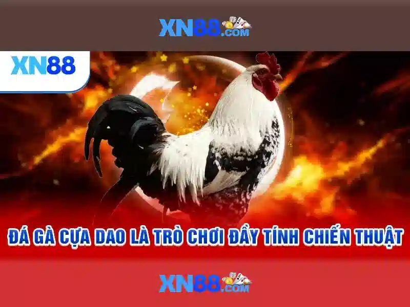 hướng dẫn đăng ký xn88 - XN88
