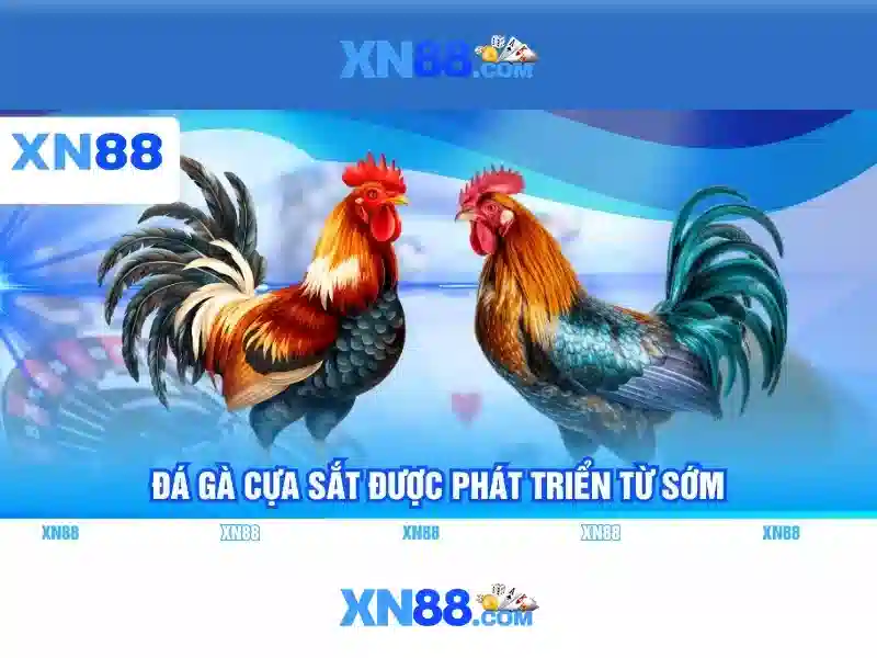 💎xem bóng đá kèo nhà cái 2💎