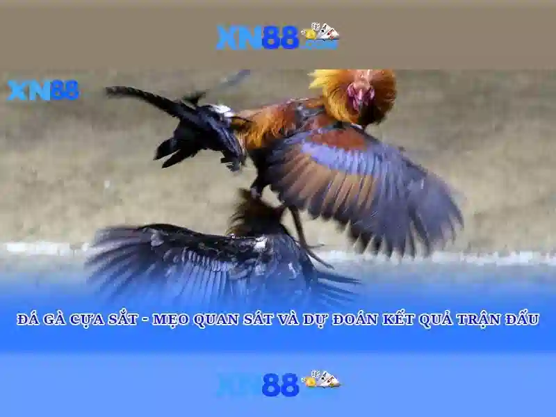 💎top nhà cái onlinecasino💎