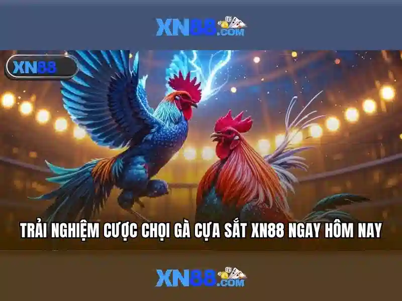 💎sin88 mx nhà cái đến từ châu âu💎