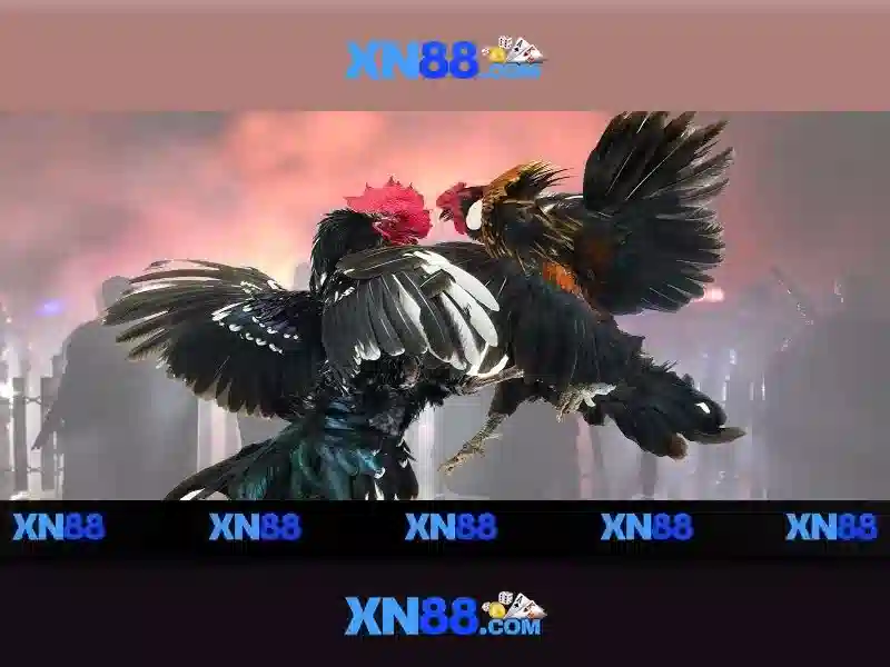 💎kèo nhà cái keonhacai bio💎