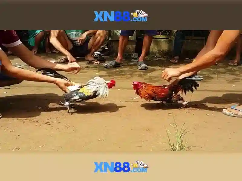 💎m88 trang cá cược hàng đầu châu á💎