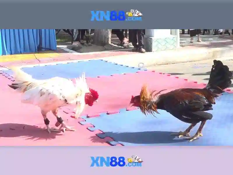 💎monster disco xtrahold slot💎