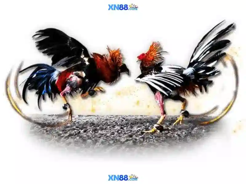 💎kèo nhà cái hay💎