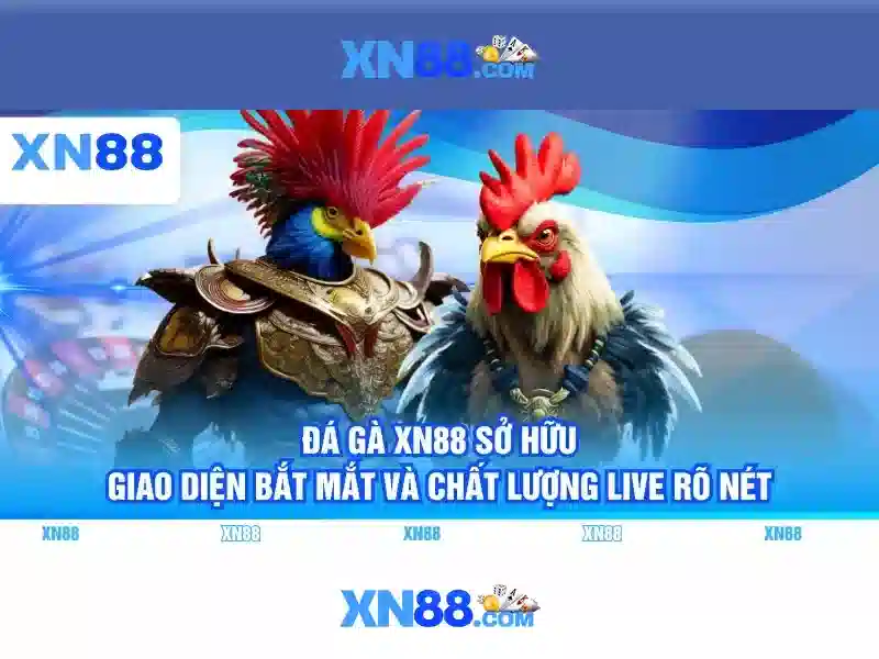 💎nhà trọ lê bình cái răng💎