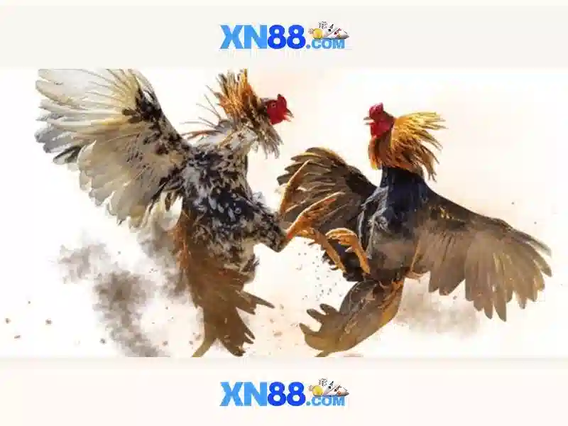 💎sin88 tean💎 - sin88 đăng ký - sin88 live