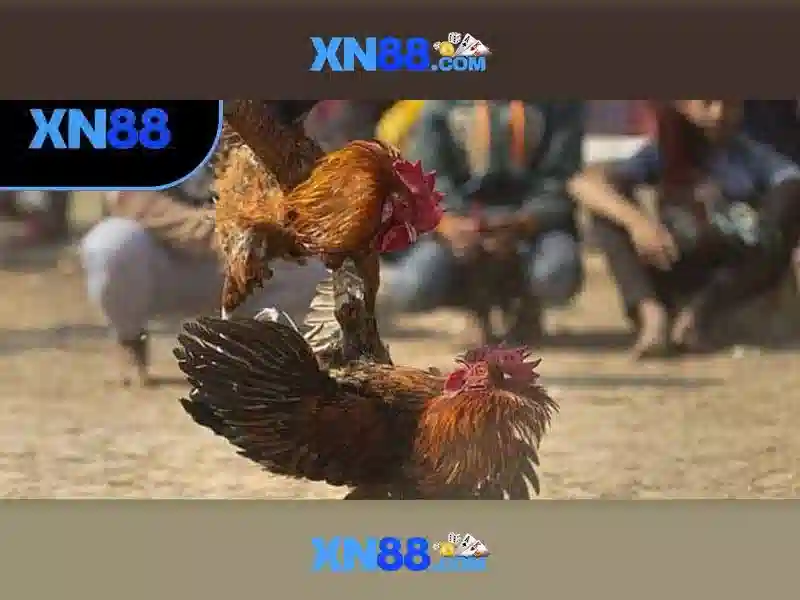 Game XN88 - Trải Nghiệm Thắng Lớn Cho Người Mới - XN88