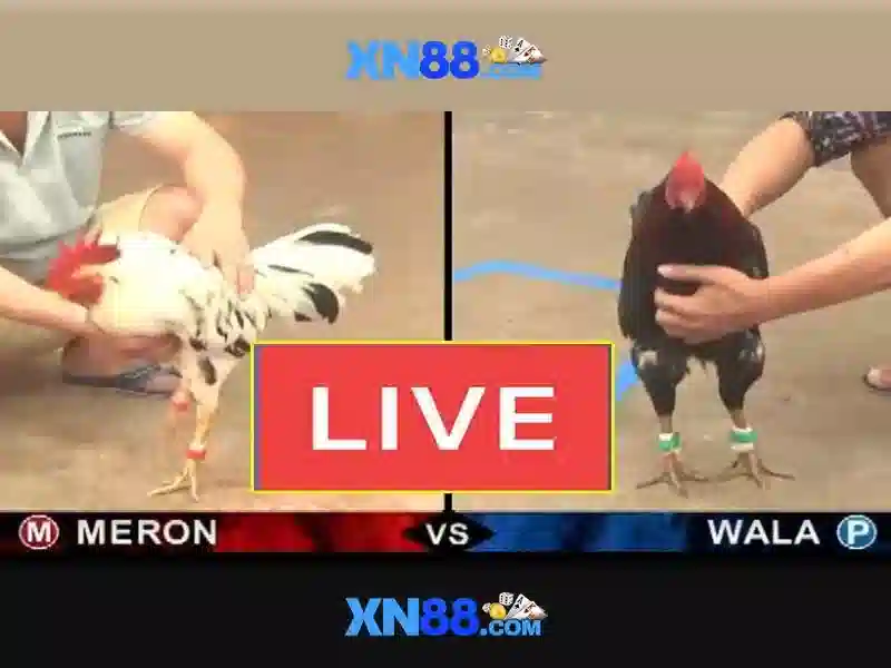 💎moulin rouge slot💎