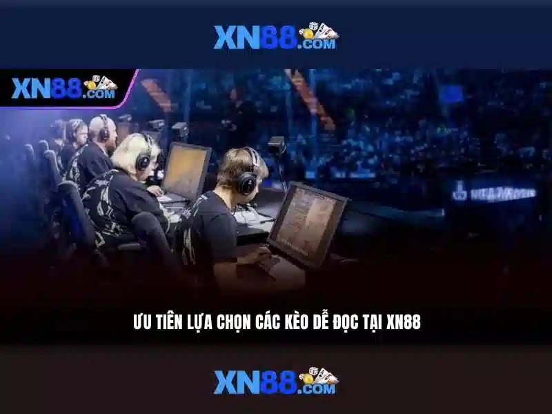 💎cài đặt nhà phát triển trên xiaomi💎