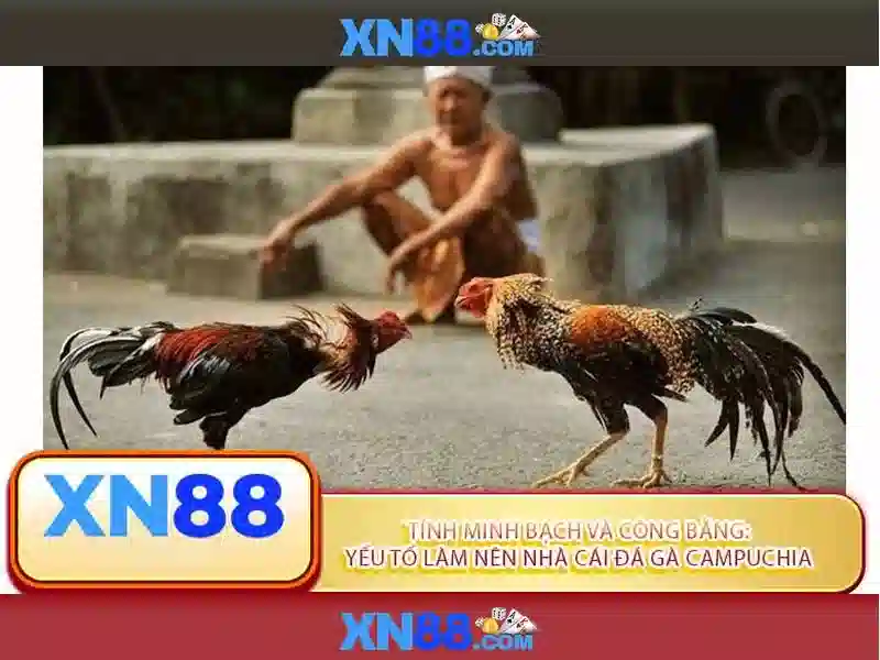 💎kèo nhá cái 5💎