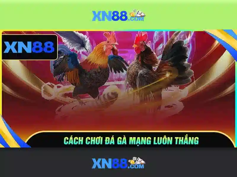 💎xn88 register free💎