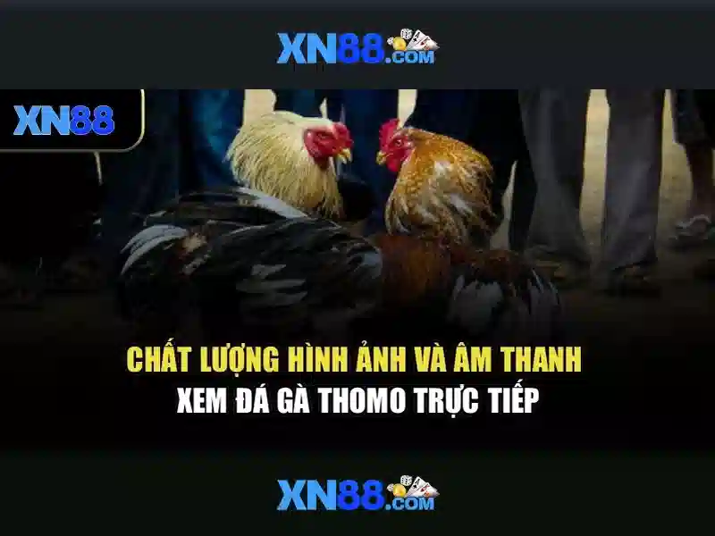 💎keo nha cai 3.net💎