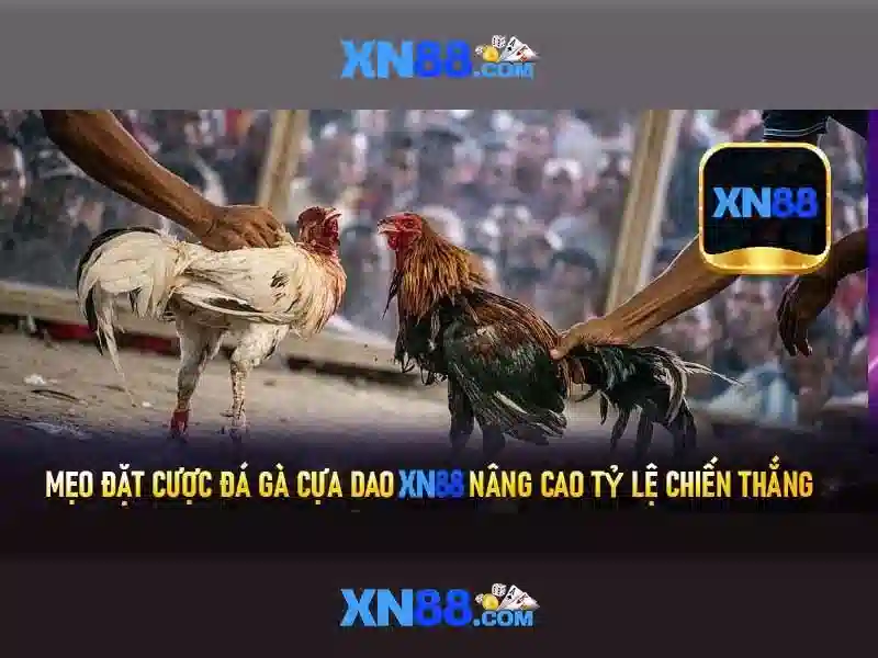💎kèo nhà cái . vin💎