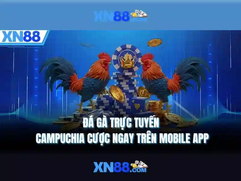 💎sòng bạc hối hả💎