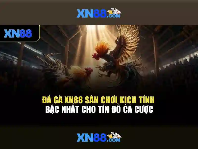 💎nhà cái uy tín cáino1💎