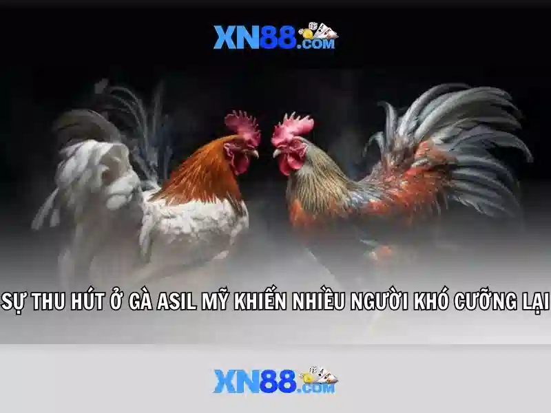💎bắt vụ đánh bạc ở thường tín💎