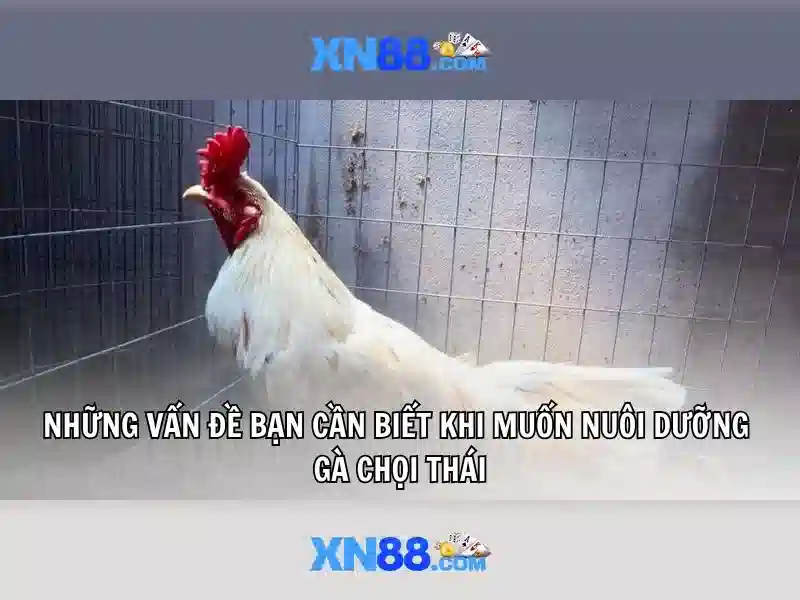 💎luật đánh bạc 2020💎