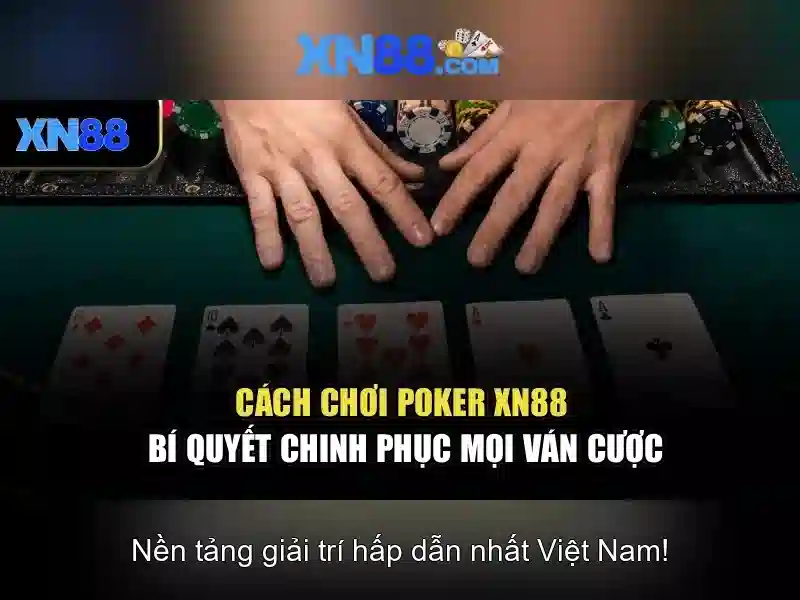 💎thời gian xóa an tích tội đánh bạc💎