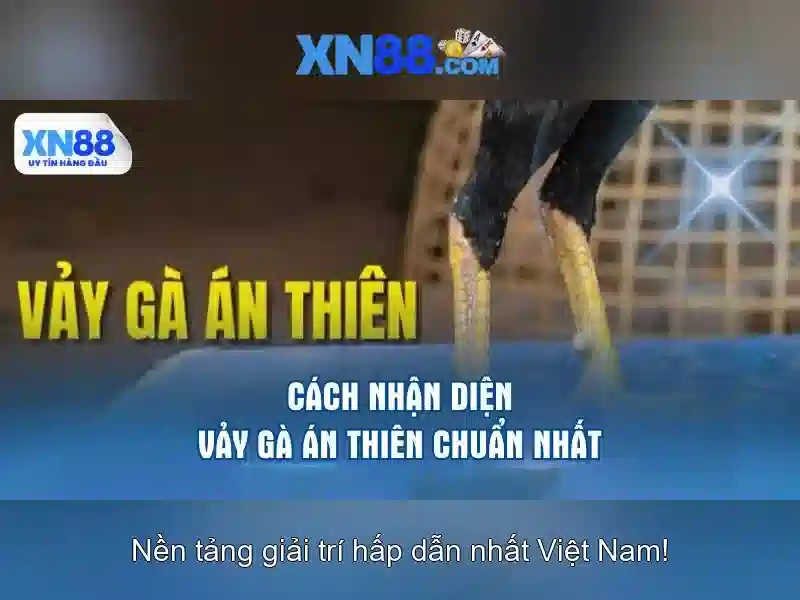 💎anh sẽ không đem tình yêu ra cá cược💎