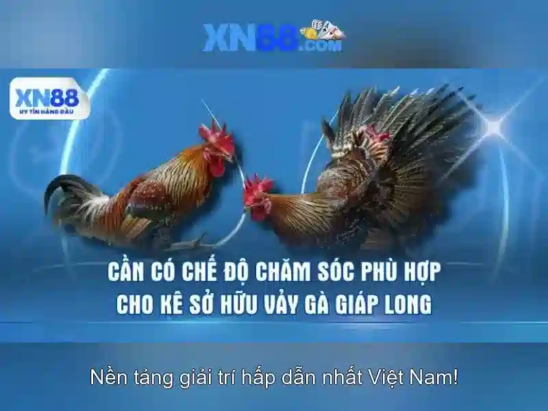 💎kèo cá cược việt nam-nhật bản💎