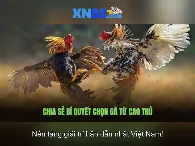 💎download aplikasi slot 777💎