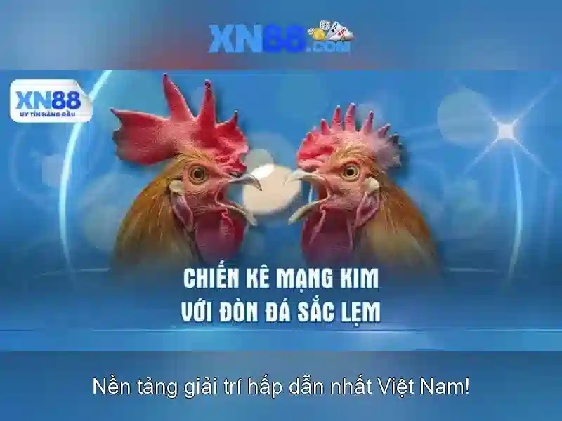  xn88 com - XN88