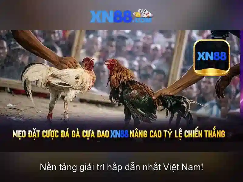 XN88 – Trang Chủ Casino Slot Uy Tín 2026 - XN88