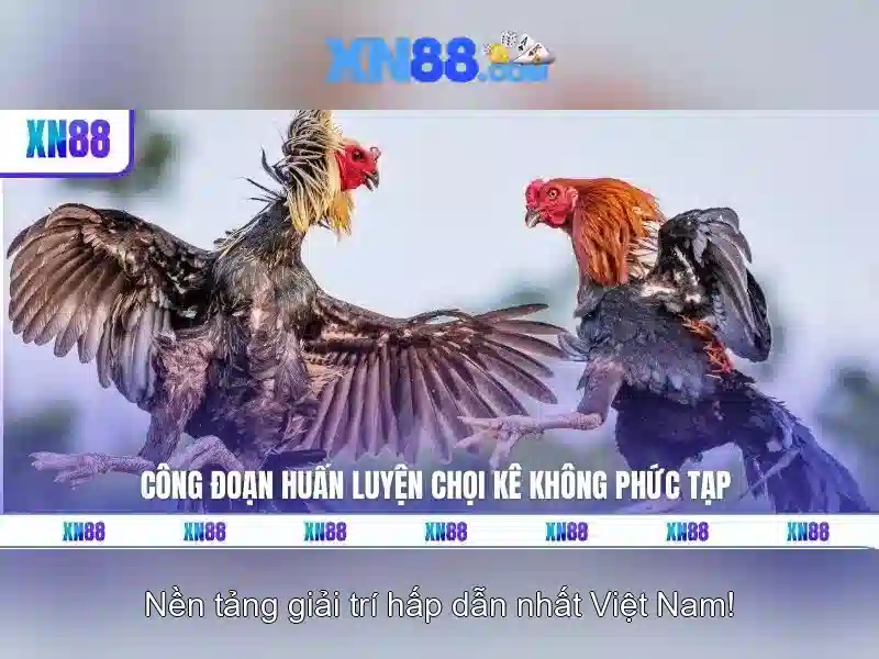 💎188bet- nhà cái 188bet uy tín hàng đầu💎