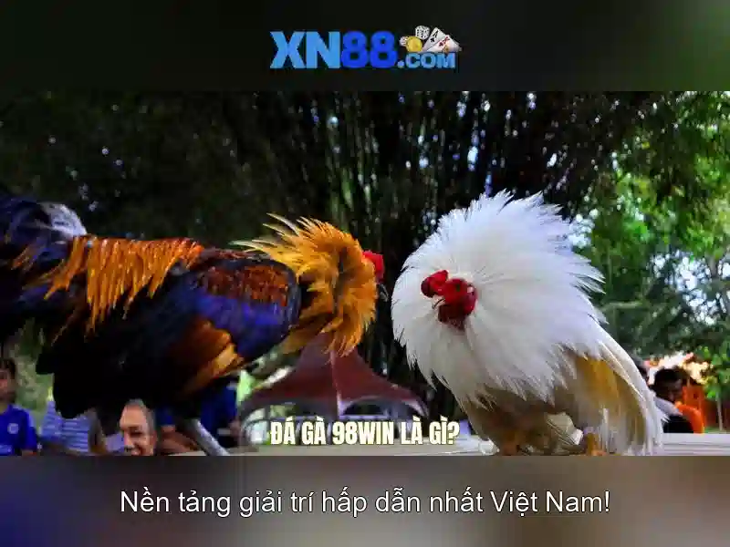 💎soi kèo nhà cái bóng đá trực tiếp💎