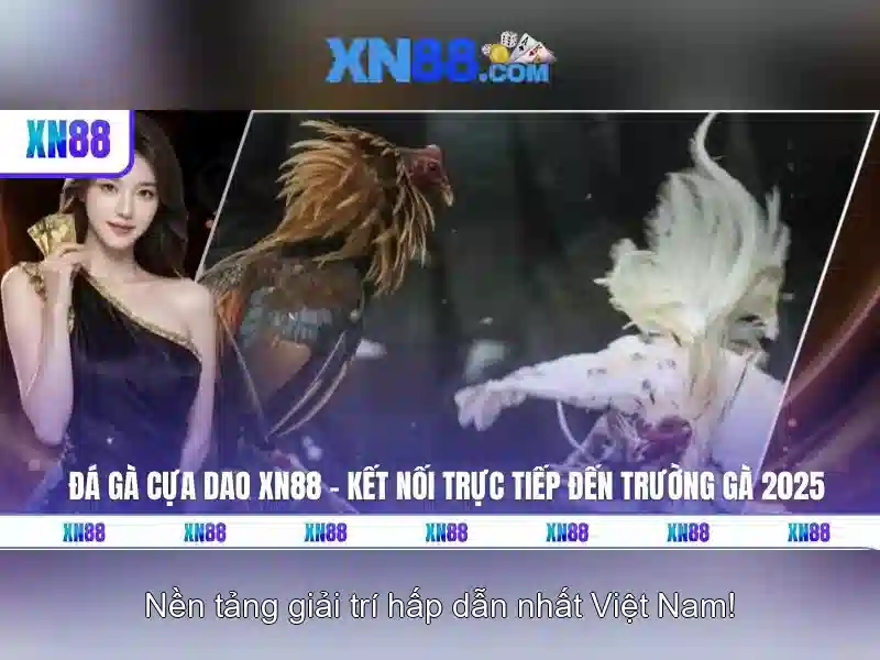 💎slots free casino house of fun apk💎