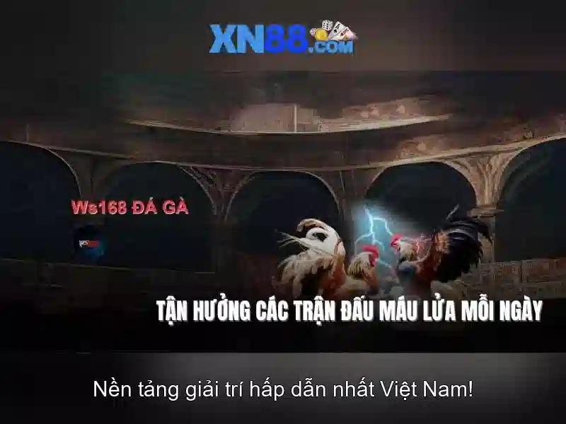 💎xn88 mine casino💎