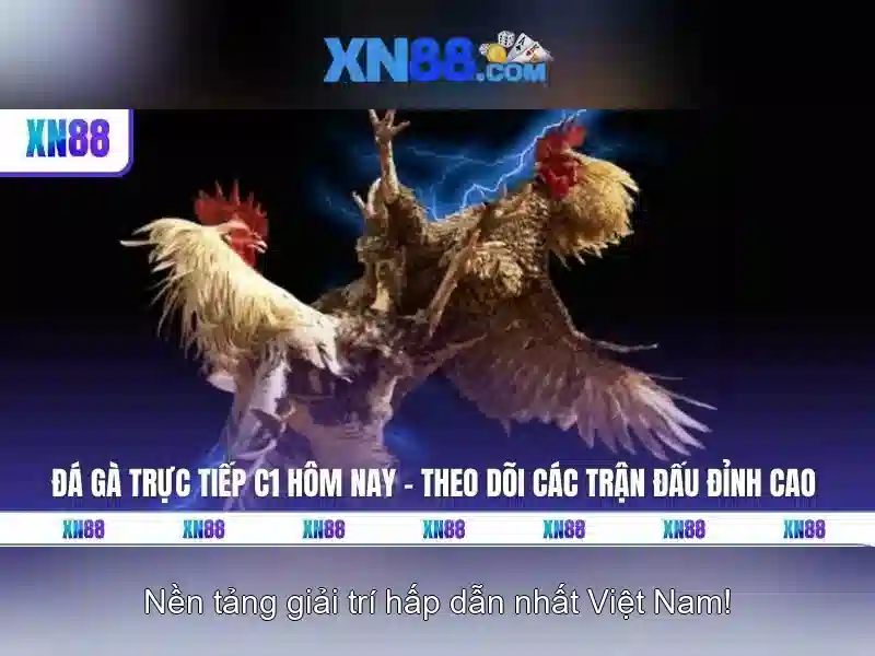 xn88 - Nền tảng cược trực tuyến toàn diện cho người chơi Việt