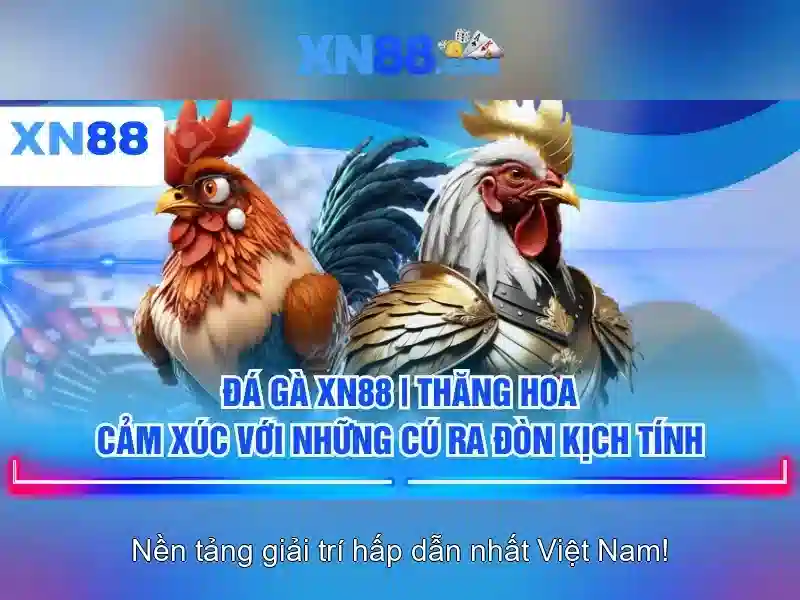 💎trang cá cược bóng đá claudio💎