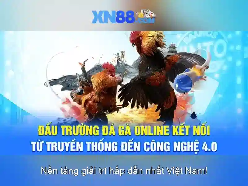 💎gói cước internet viettel cà mau💎