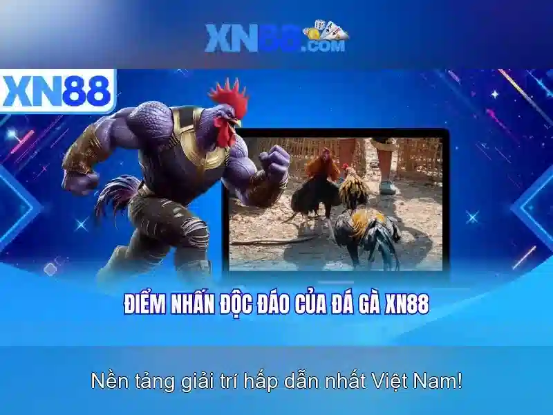 💎kèo nha cái keohay💎