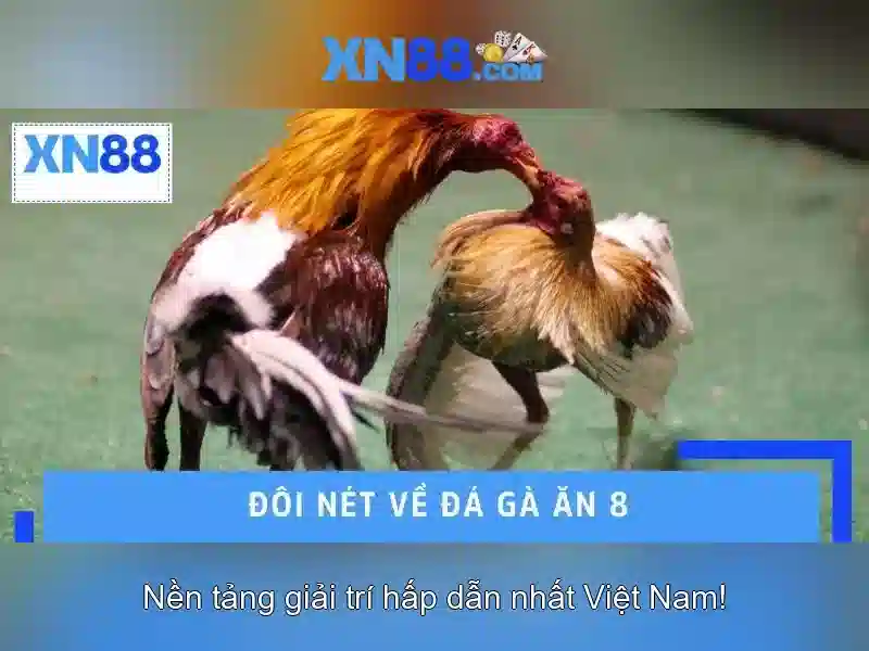  XN88 trực tuyến - XN88