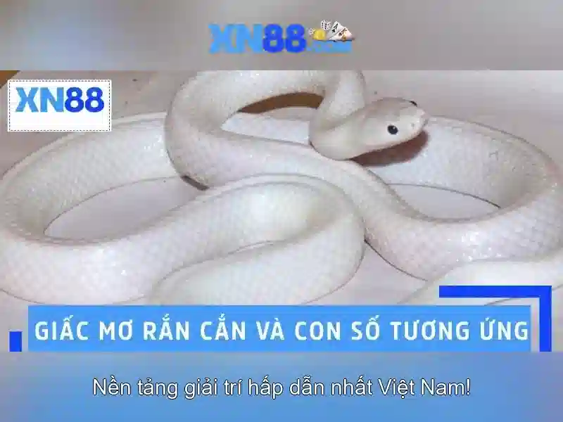 💎tỷ lệ nhà cái world cup hôm nay💎