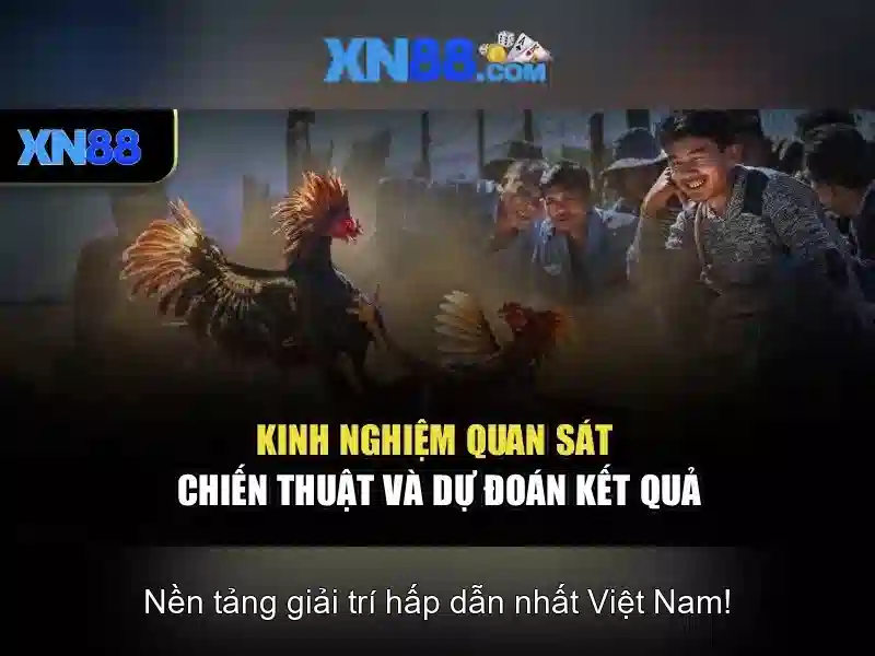💎888slot casino⚡️ nhà cái 888slot – cập nhật link vào mới nhất 2025💎
