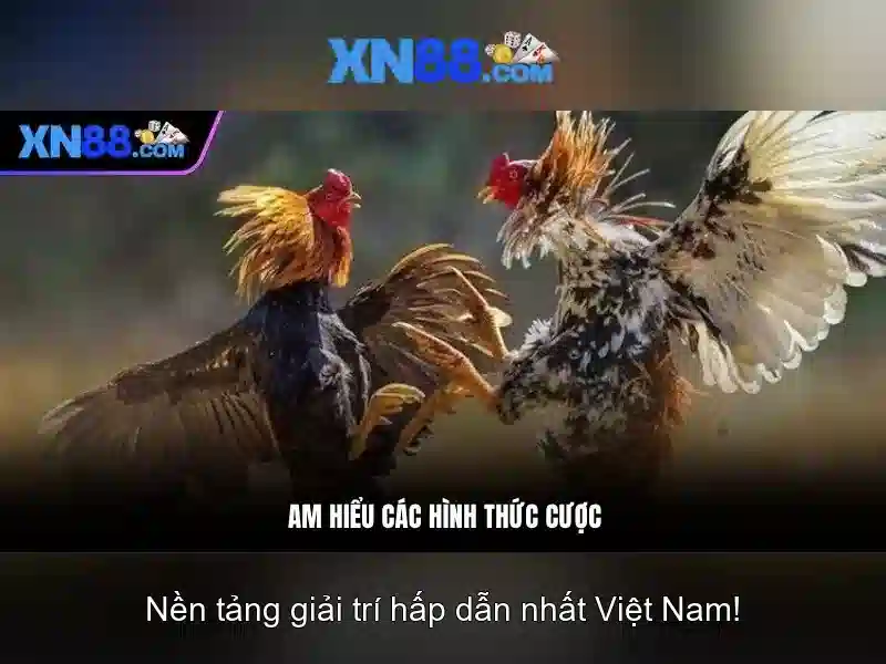 💎đắp mộ cuộc tình thanh tuyền ca💎