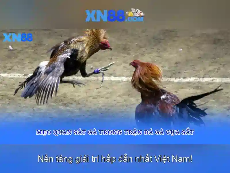 💎xem 1.000.000.000 lệ kèo nhà cái💎