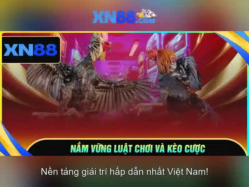 💎book of relics slot💎