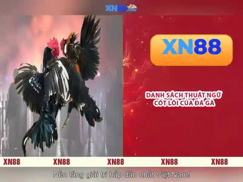 💎nhà cái uy tín 250💎