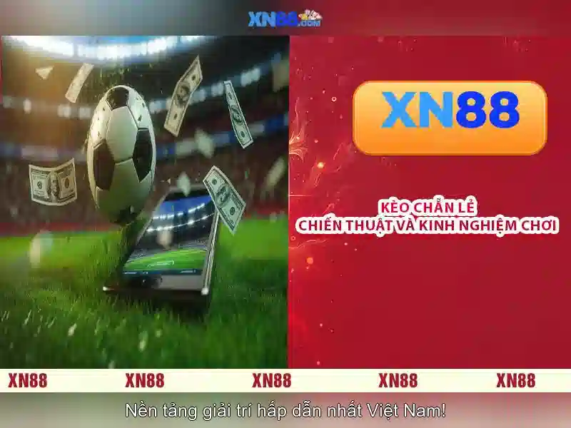  SEO - XN88
